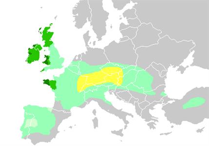 jitro [Czech Republic]